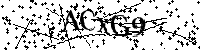Por favor, escriba las letras y los números siguientes