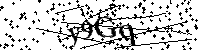 Por favor, escriba las letras y los números siguientes