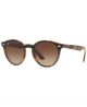 Ray Ban 0RB4380N 710/13 37 LIGHT HAVANA BROWN GRADIENT Injected Unisex size 37 sunglasses